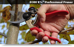 Pruners